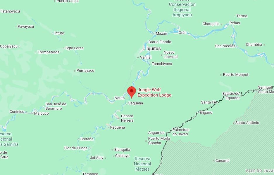 jungle wolf location