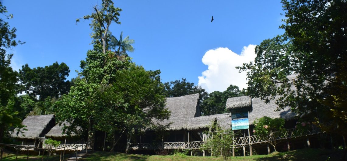 iquitos peru jungle wolf lodge