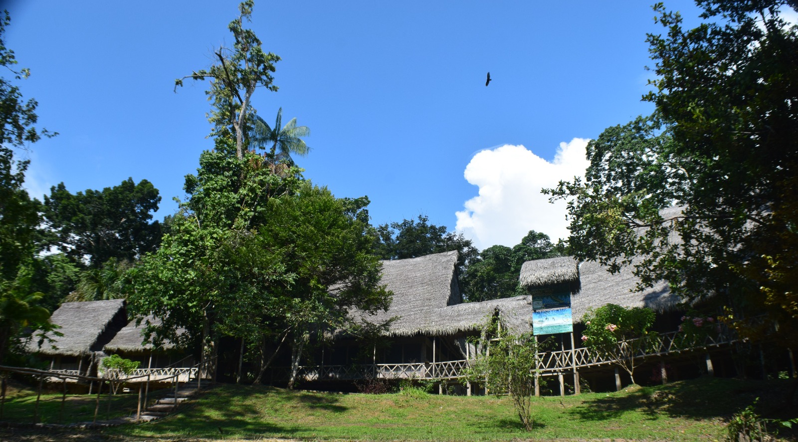 Iquitos Amazon Lodge - Jungle Wolf Expedition Peru