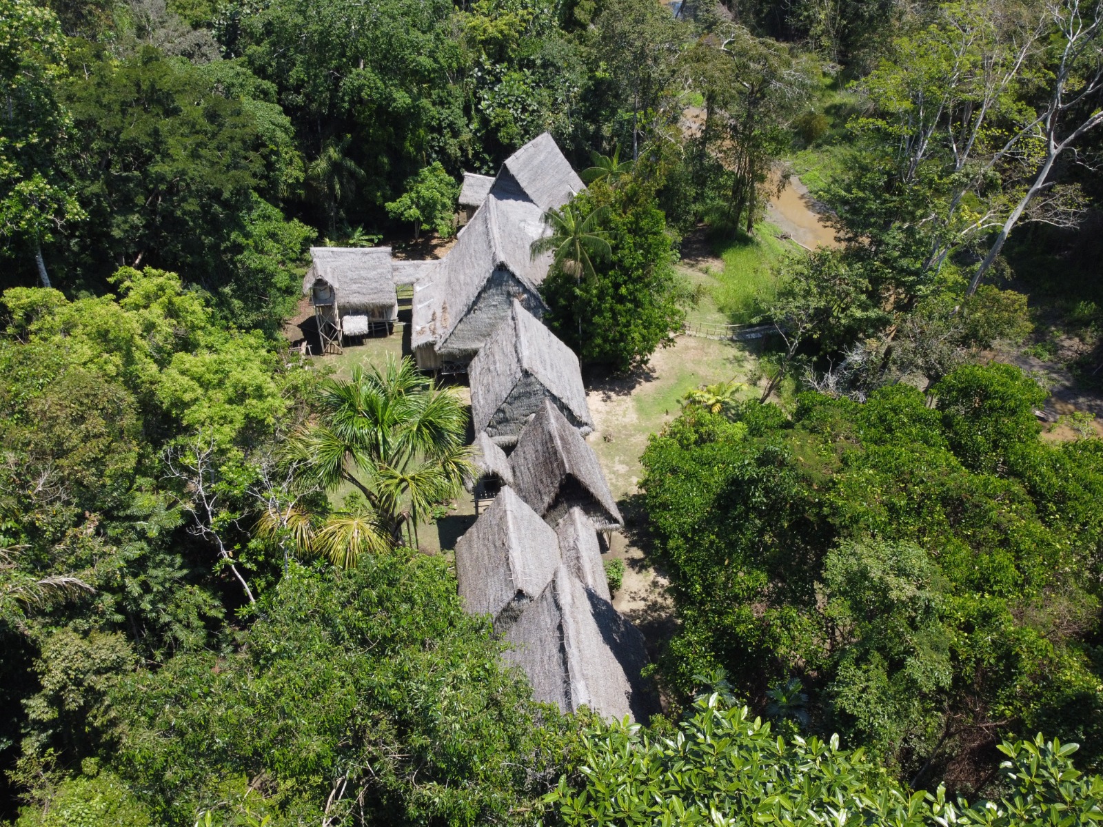 Iquitos Peru Amazon Rainforest Lodge